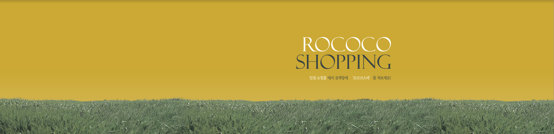 ROCOCO Shopping 입점 쇼핑몰 에서 검색창에  ‘로코코소파’를 쳐보세요!